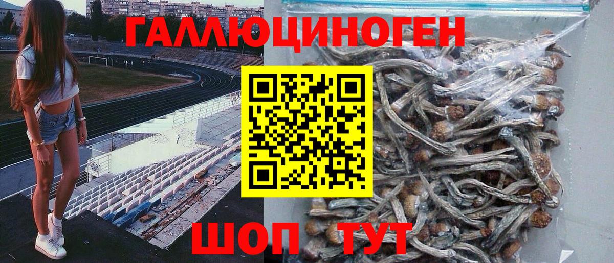 Галлюциногенные грибы Cubensis Долгопрудный